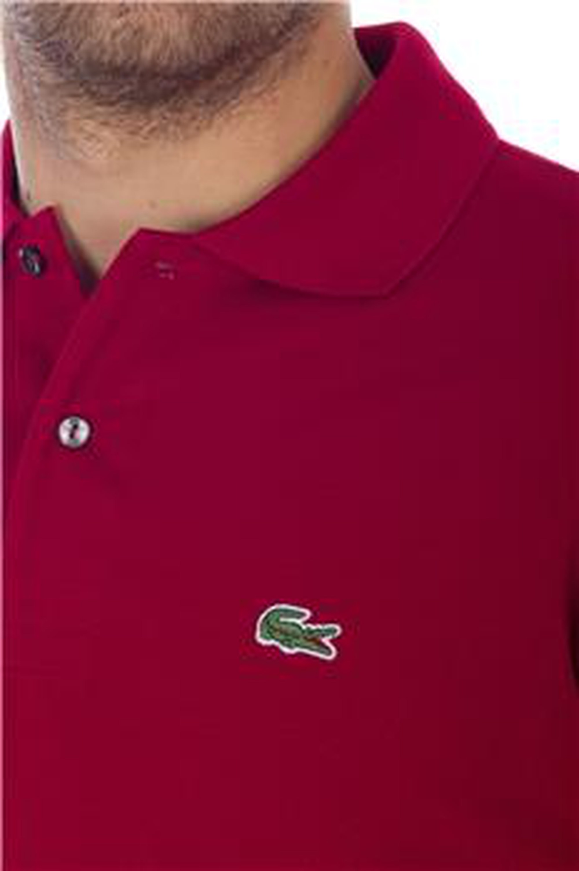 lacoste polo maroon